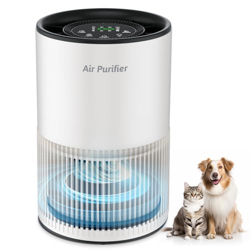 空気清浄機 小型 2025春 花粉対策 AI風速調整 360°循環浄化 アロマ対応 20 db静音 卓上 20畳 USB 集じん ペットの毛 PM 2 5 除菌 アレルギー対策 H 13 HEPAフィルター 活性炭フィルター 3段風速 LEDスクリーン 睡眠モード