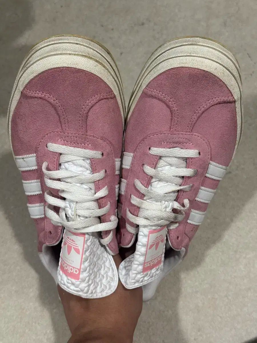 W250 adidas