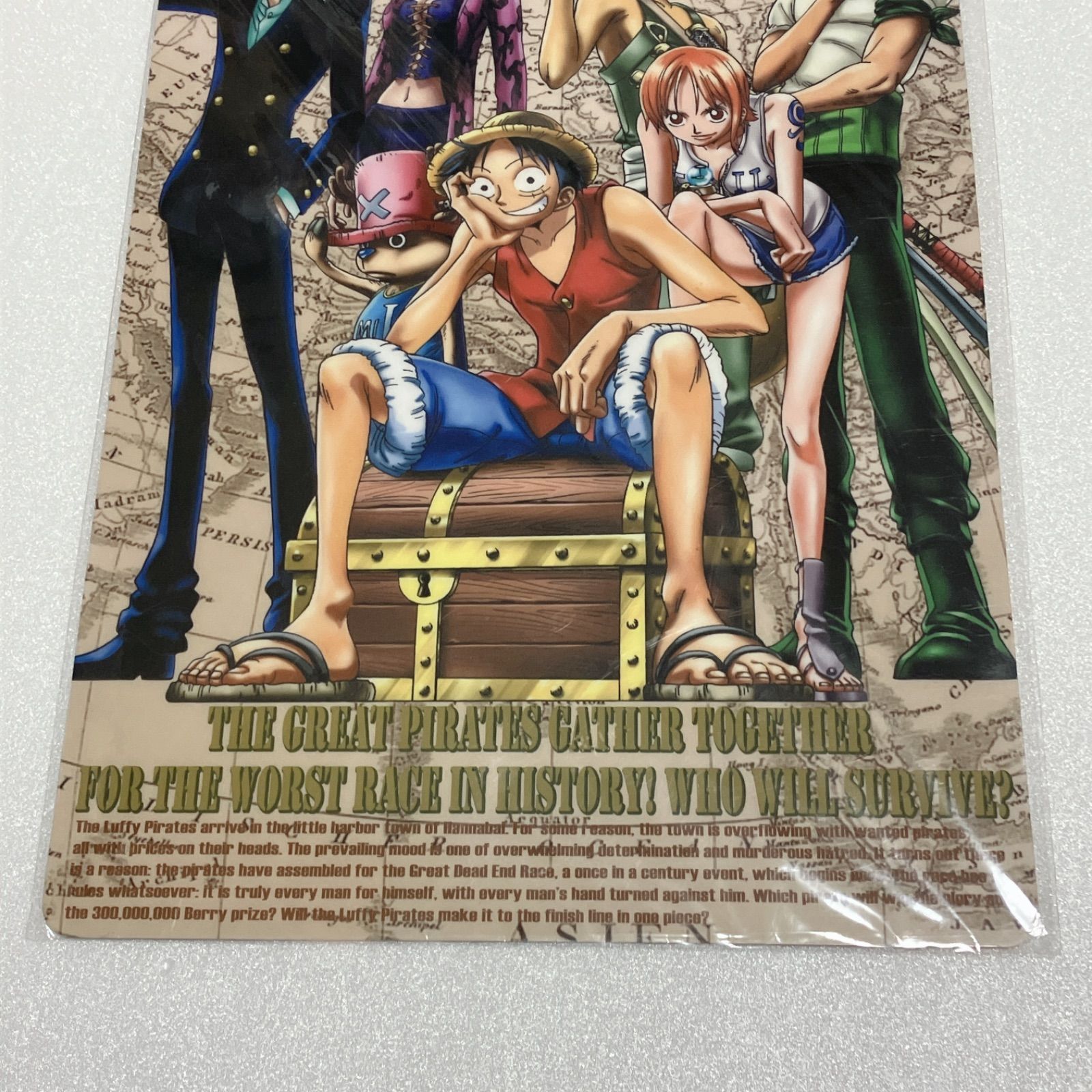 ONE PIECE ワンピース デッドエンドの冒険 下敷き 麦わらの一味 下じき