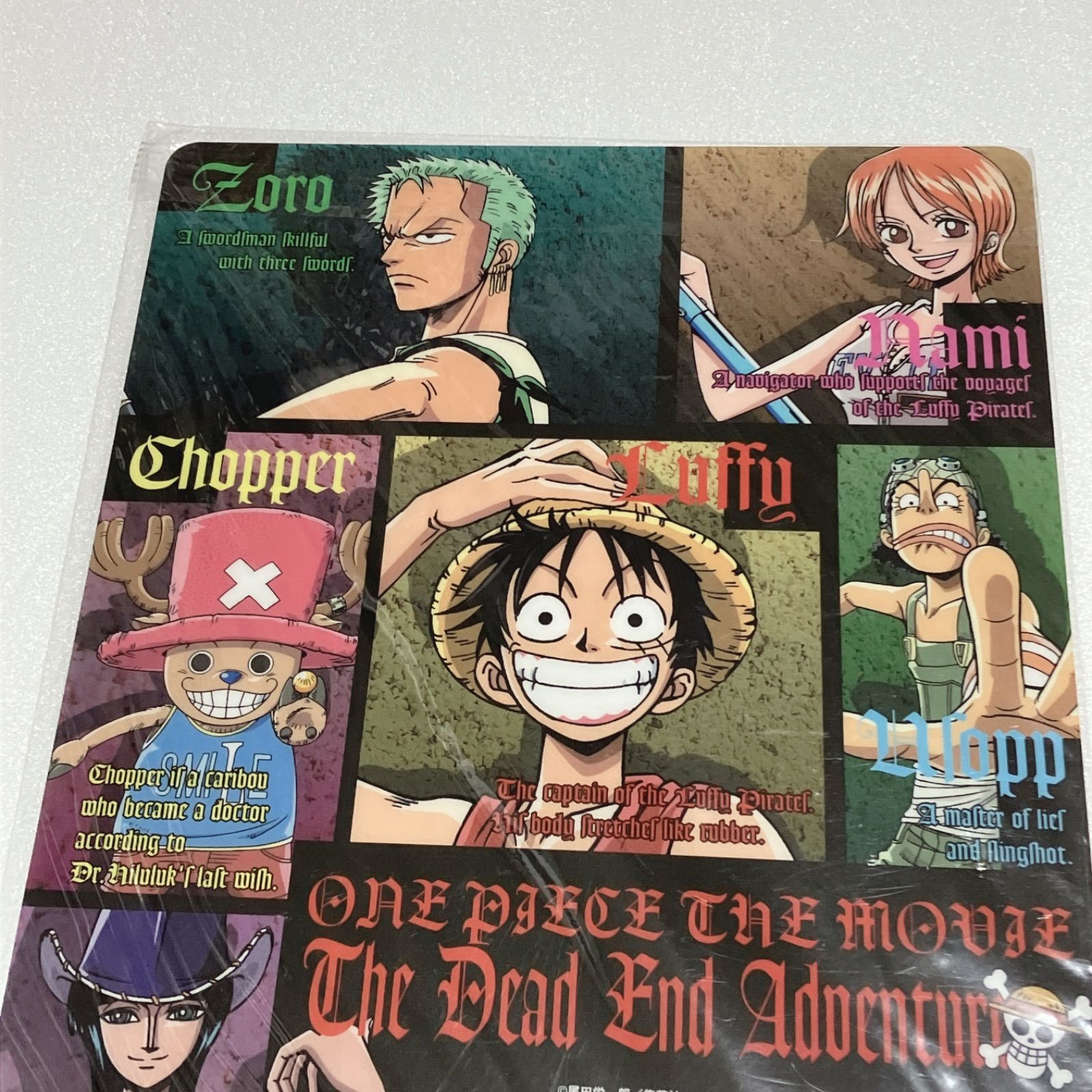 ONE PIECE ワンピース デッドエンドの冒険 下敷き 麦わらの一味 下じき
