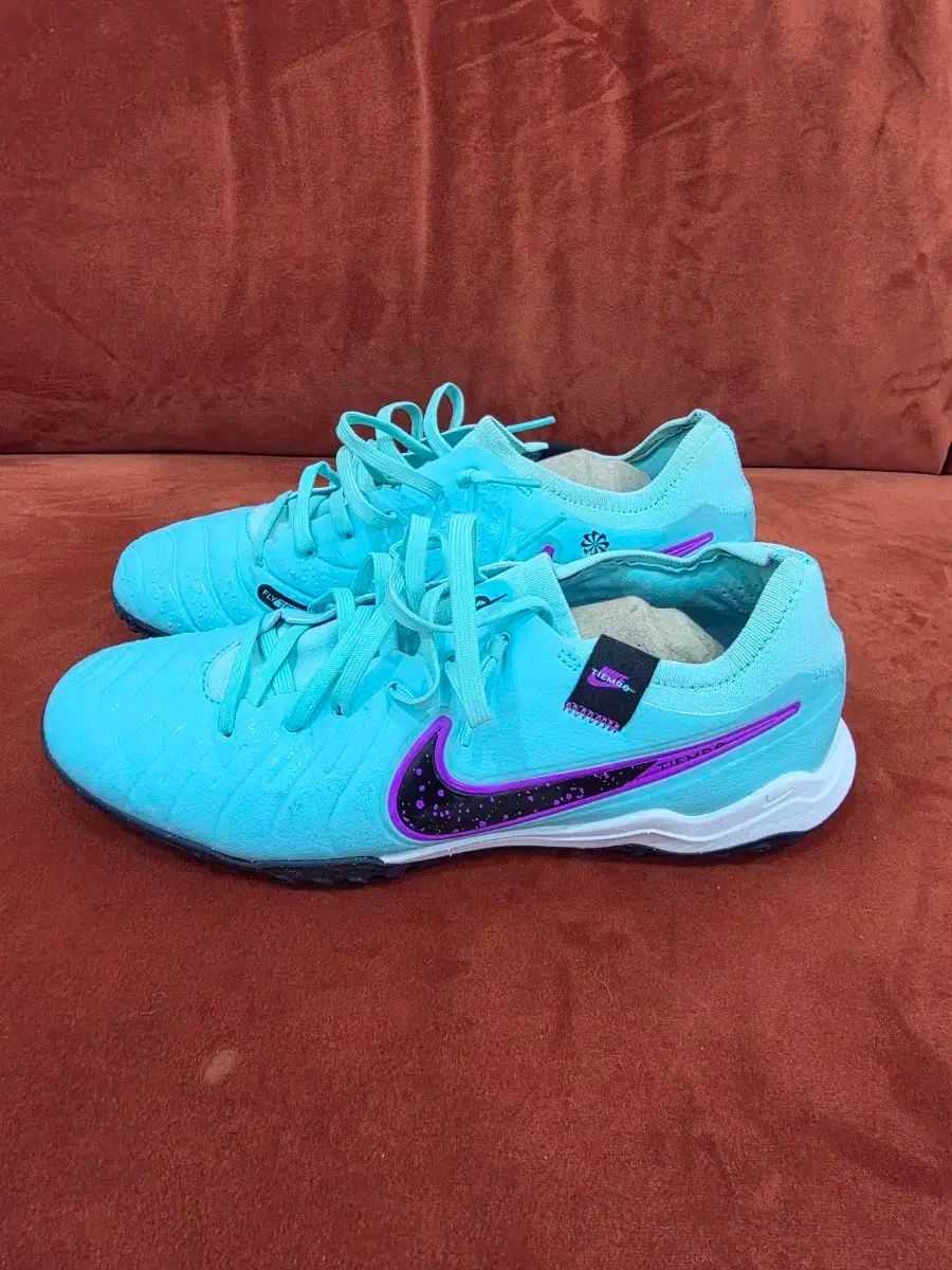 ナイキ ティエンポ レジェンド 10 プロ TF 250 mm