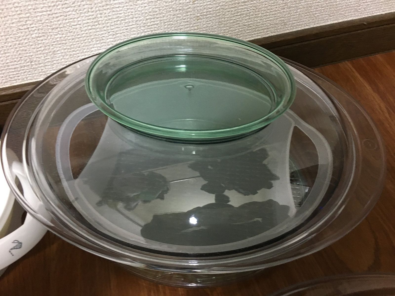 ティファール 電気蒸し器 スチームクッカー イージースチーム