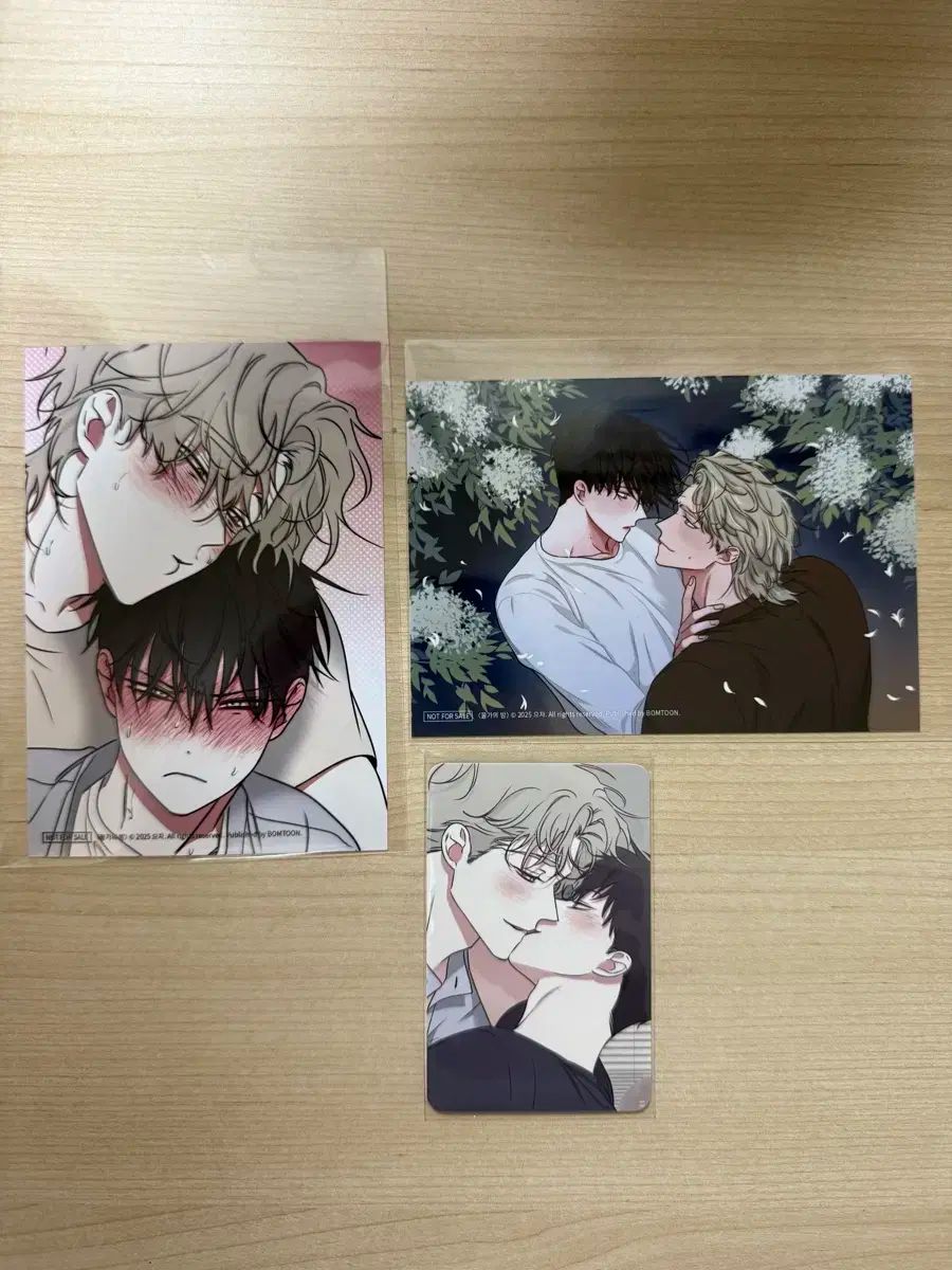 春툰ポップアップ 春スウィートホーム 水辺の夜 ヘザー写真 所蔵証明写真 まとめ