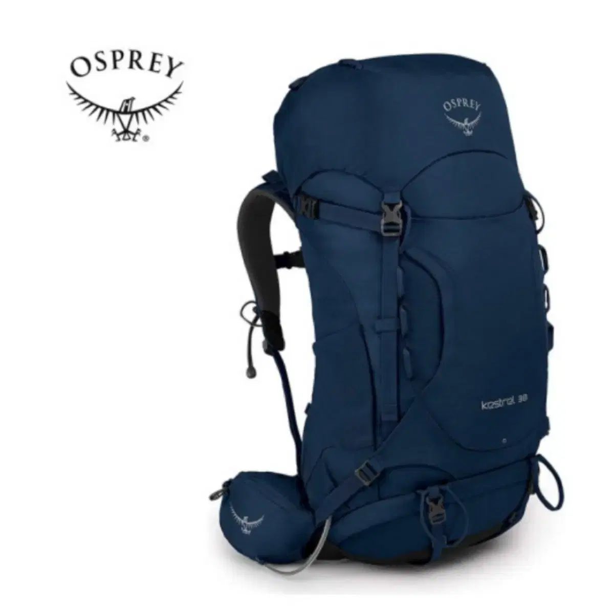 繰り返しのある オスプレイ OSPREY KESTREL ケストレル 38L 登山リュック トレッキングリュック ブルーCOLOR