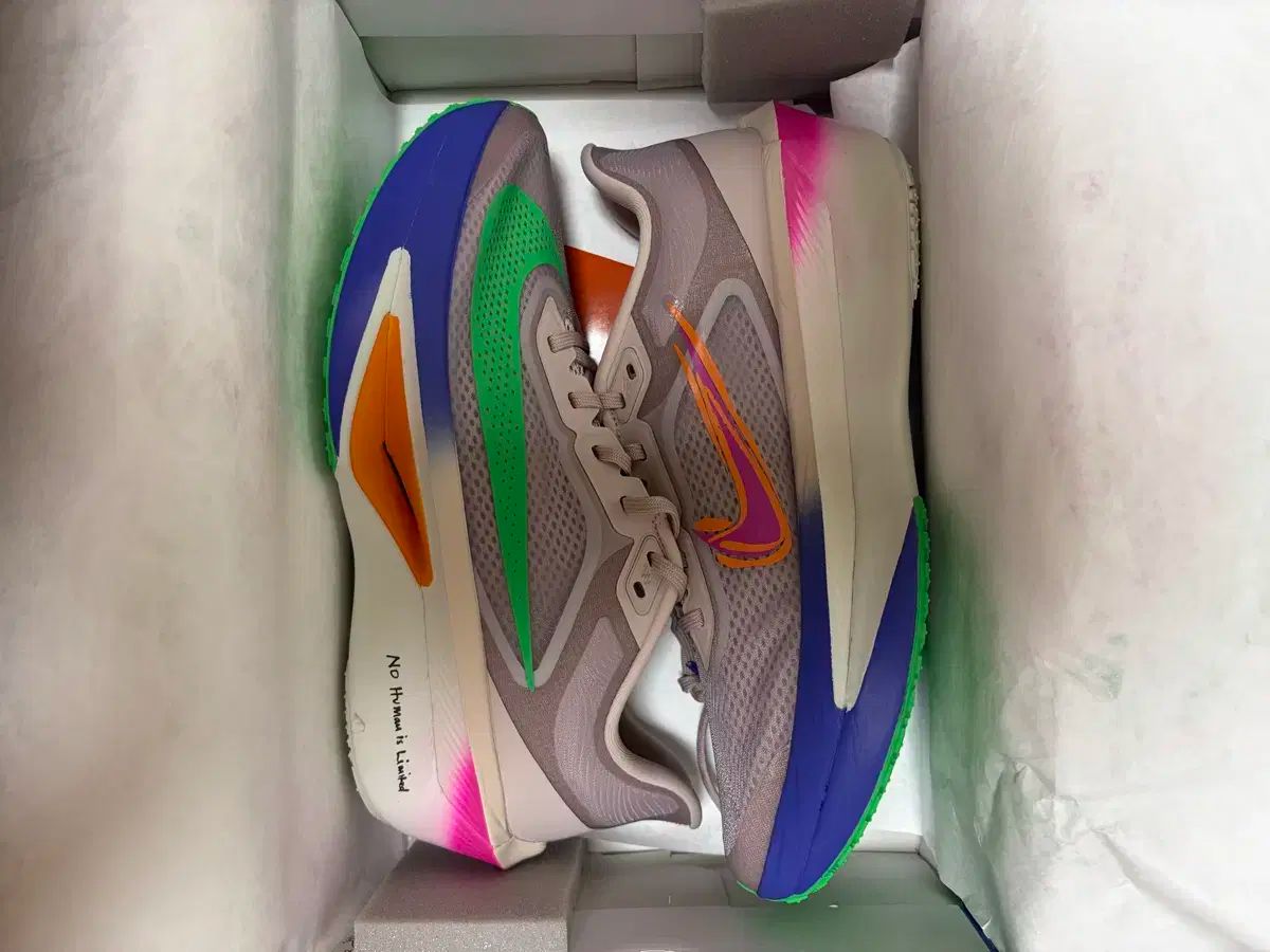 ナイキ ズームフライ 6 エリウウッドキプチョゲ