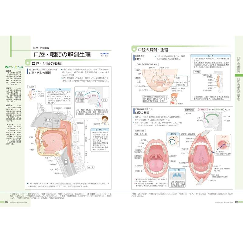 本 病気がみえる vol.13 耳鼻咽喉科 第1版 1