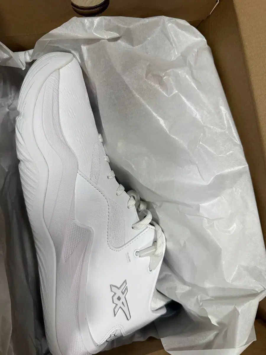 アシックス NOVA SURGE LOW 2