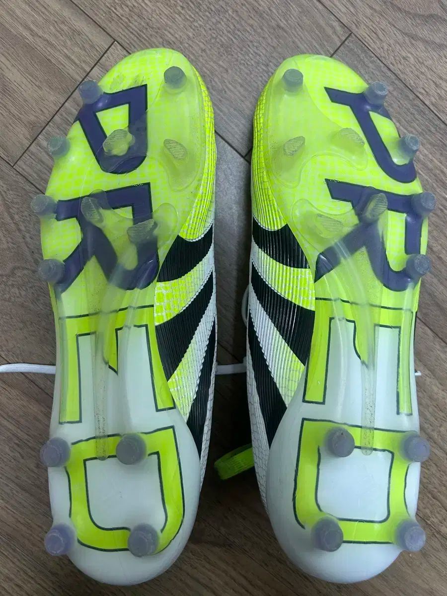 プレデター エリート