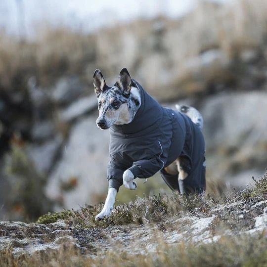 Hurtta] Extreme Overall グレー 35S～45Mサイズ 注文 Hurtta フルッタ