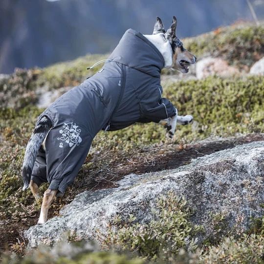 Hurtta] Extreme 注文 Overall グレー 35S～45Mサイズ Hurtta フルッタ