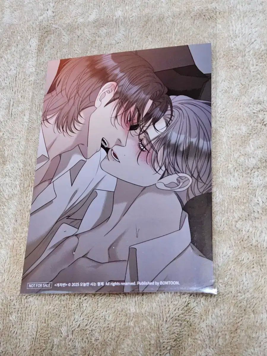 BOMTOON ボムスウェットホーム 兄弟 개차반 スキンシップ プリント写真