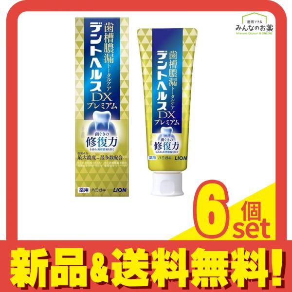 デントヘルス薬用ハミガキDX 90g 6個セット