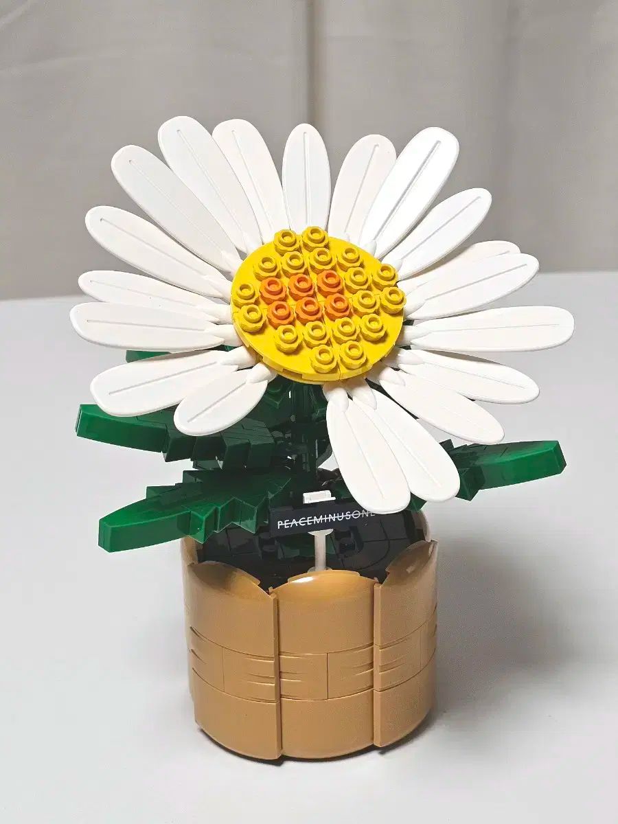 GD Oxford LEGO G DRAGON ジードラゴン ジディ PEACEMINUSONE ピースマイナスワン