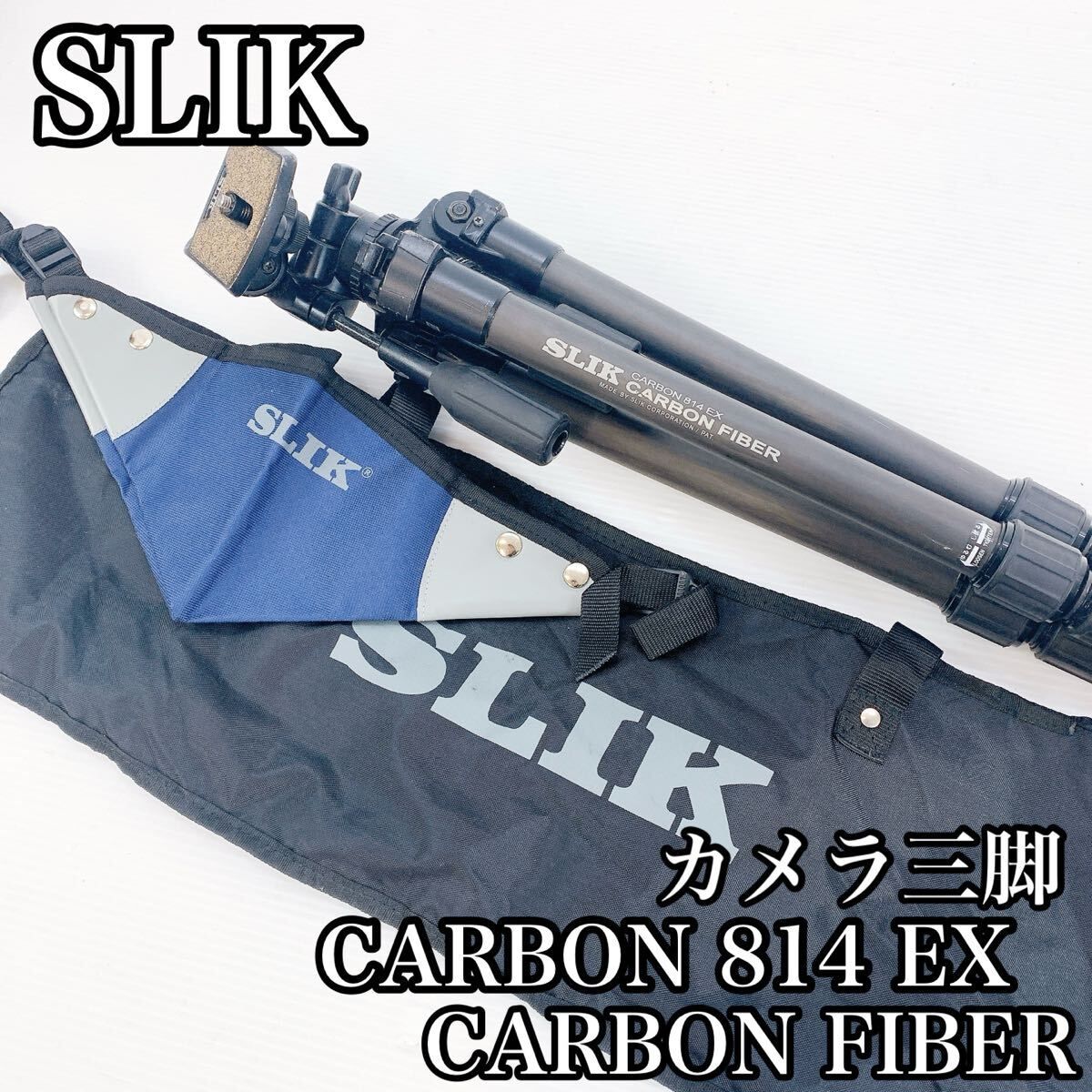 フトオアゲハ♂標本 ☆台湾産☆有名種 104mm 美麗標本状態⭕️ 入手困難