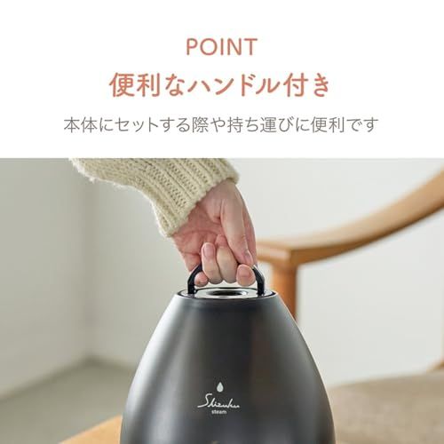 アピックス スチームファン式加湿式 アロマ タッチパネル式 マグネットプラグ式 木造2 4畳 洋室4 6畳 自動OFF機能 オフイタイマー e1661e22 WWW_OPDRERGINERDOGAN_COM