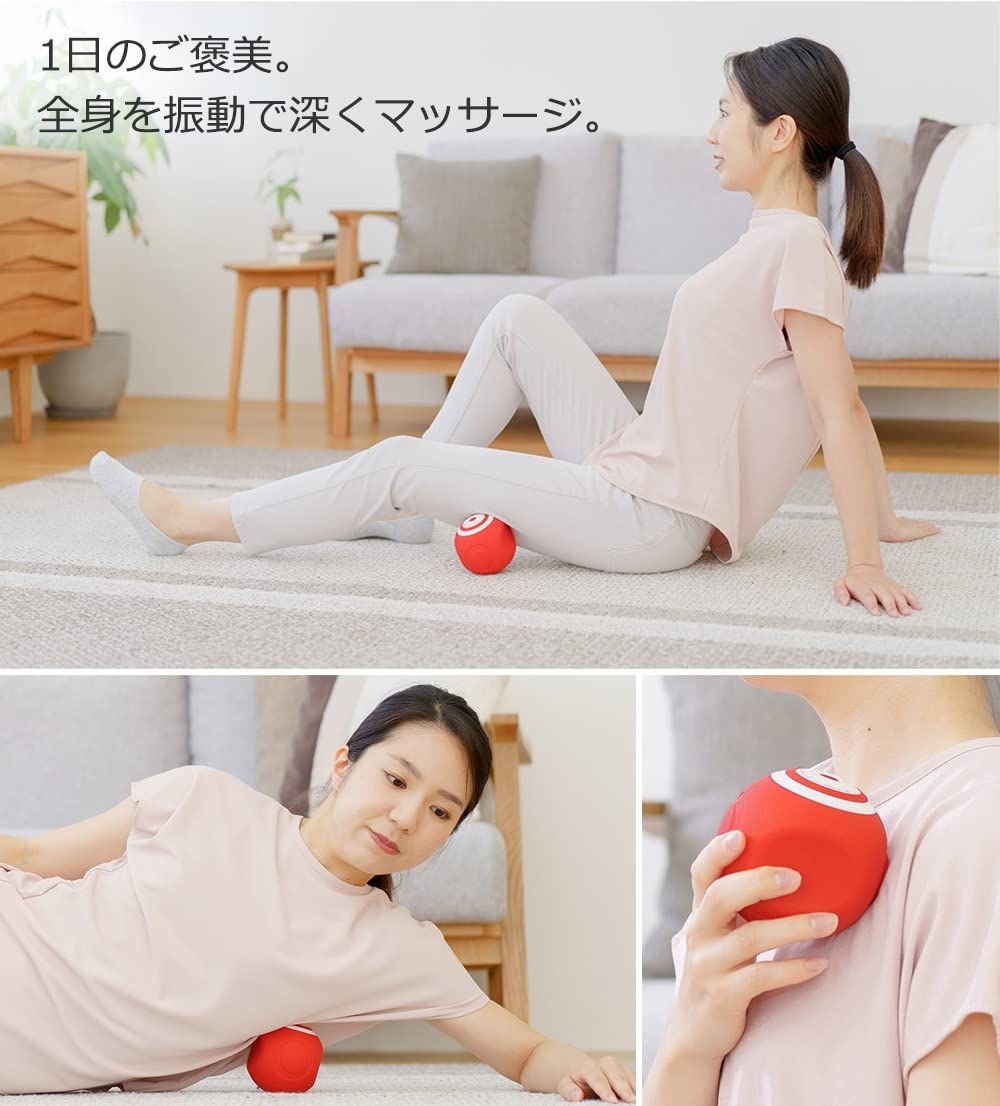 振動レベル５段階 SLB-100