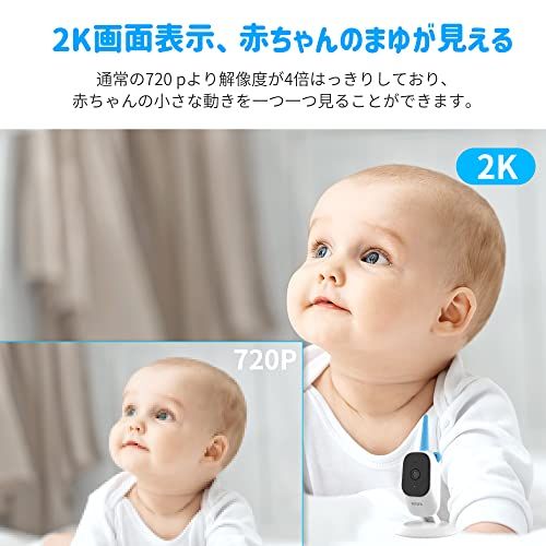 2025最新デザイン