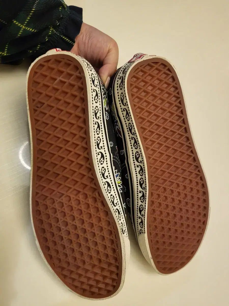 ヴァンズ アセンティック