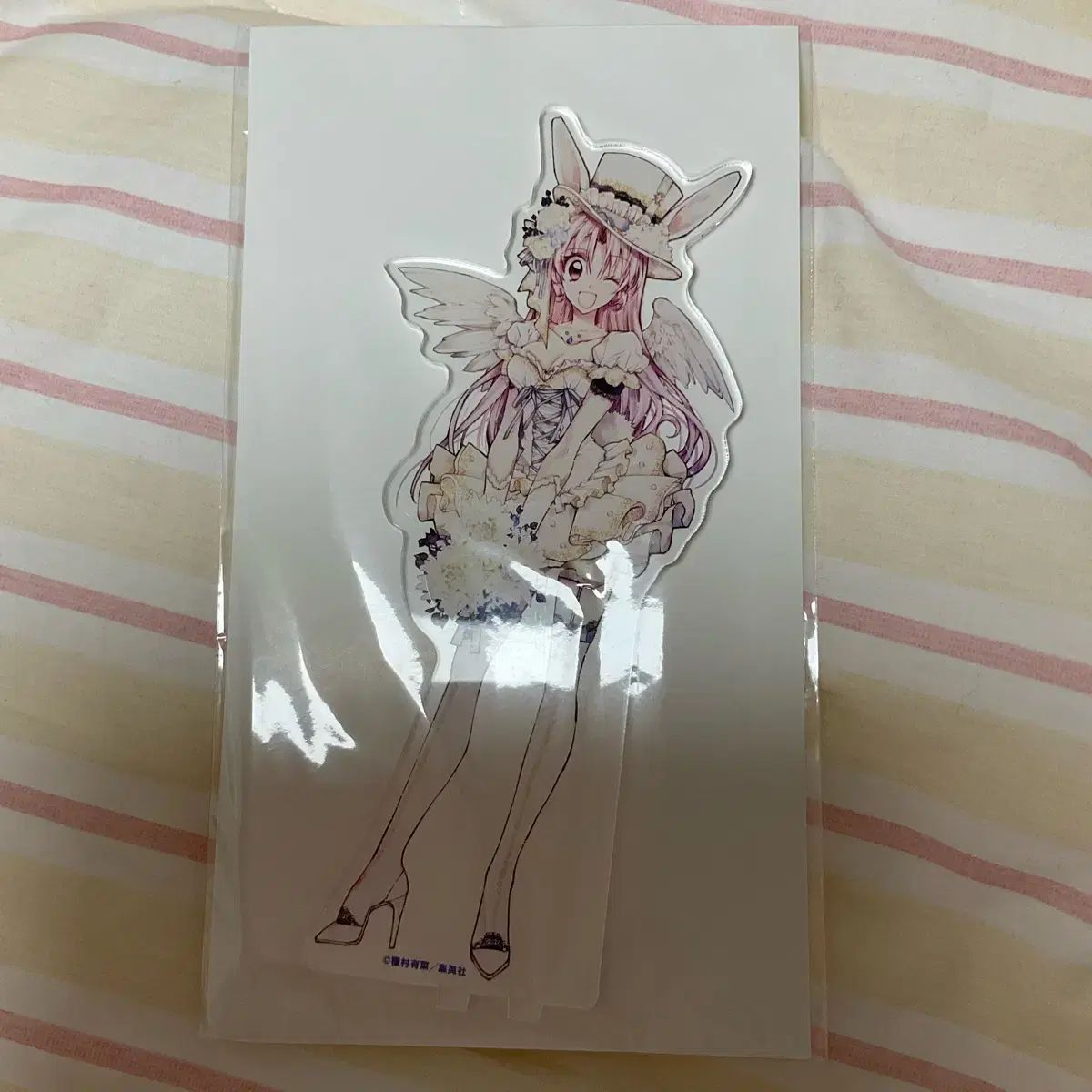 満月をさがして メロニー アクリル スタンド