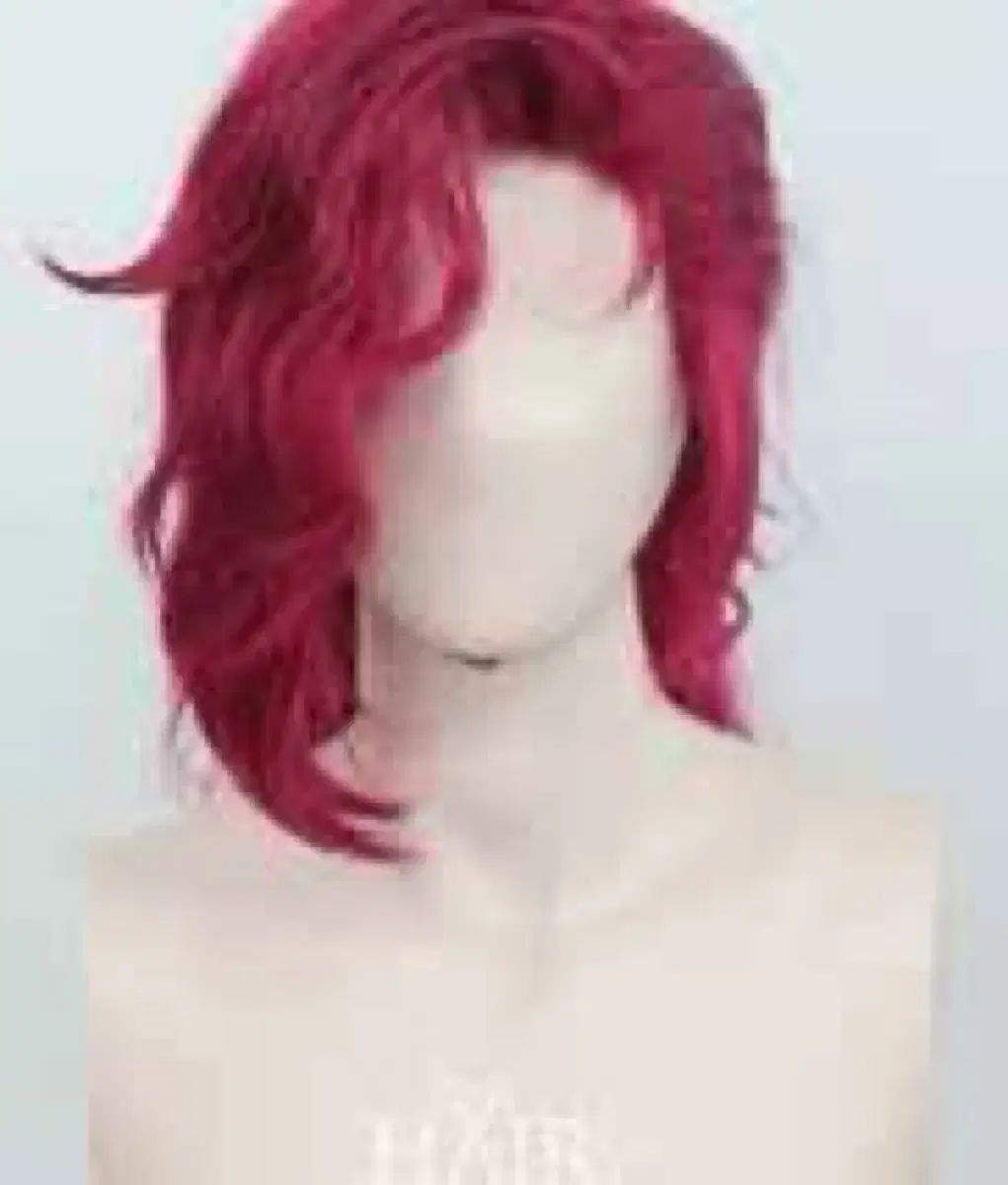 ゾンビ高校 私立ゾンビ学園 イ セビン ウィッグ