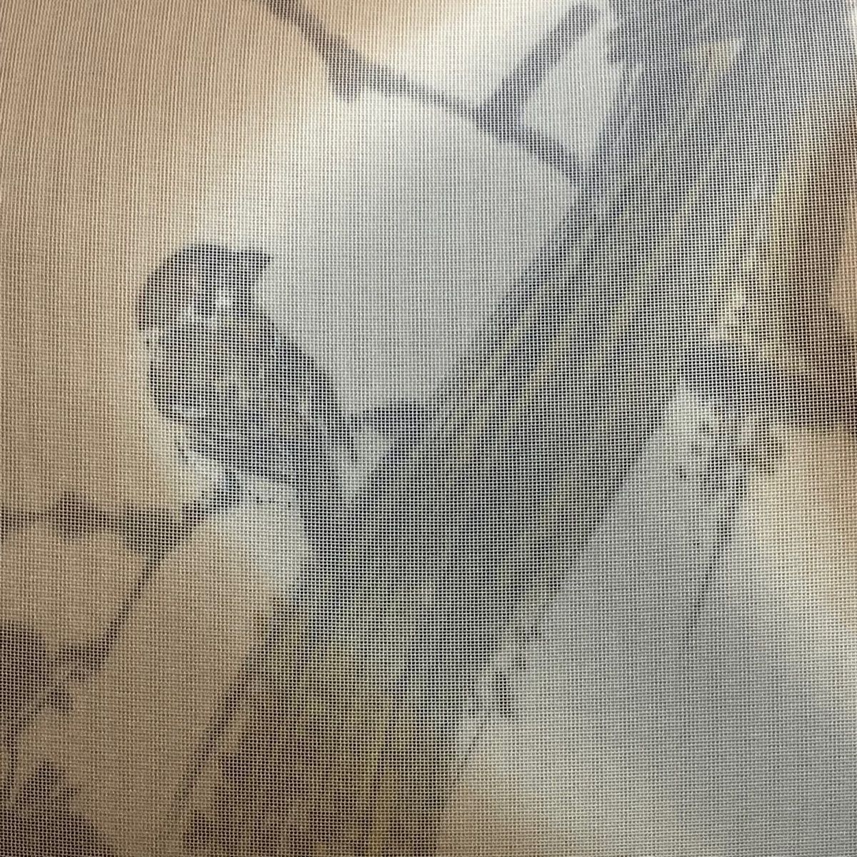 袋帯 夏帯 夏紬地 雀 楓 ぼかし 薄茶色 お太鼓柄 正絹