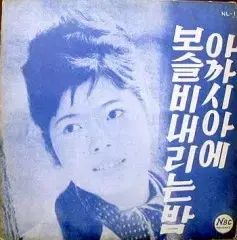 アカシアに 霧雨 落下 밤 이순애 10 インチ