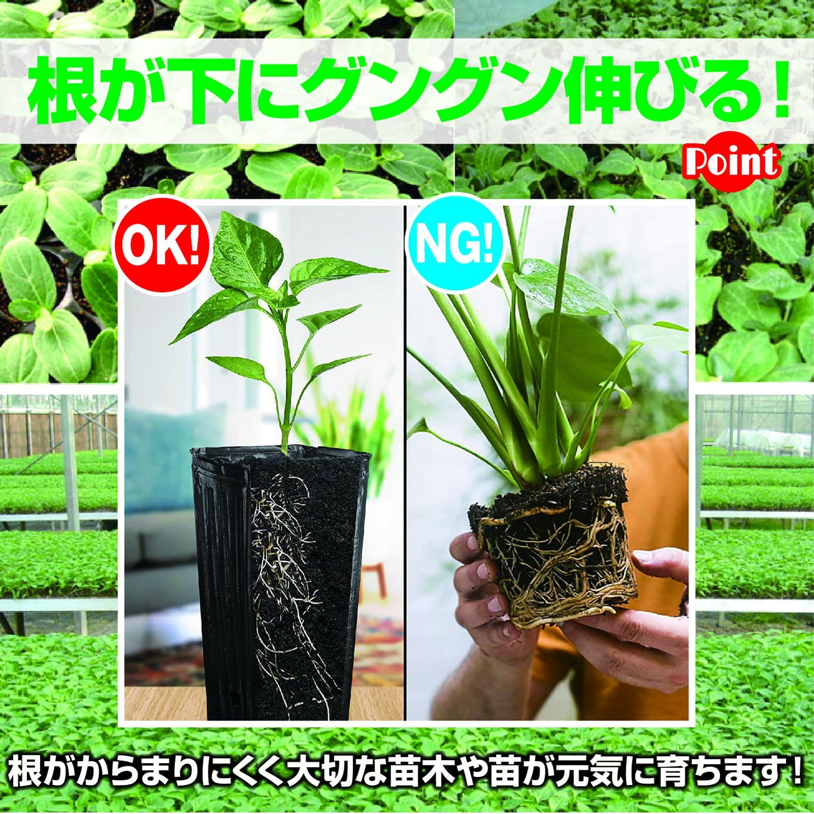 新品 ZERONOWA 苗ポット 育苗ポット 深型 ロングポット ビニール