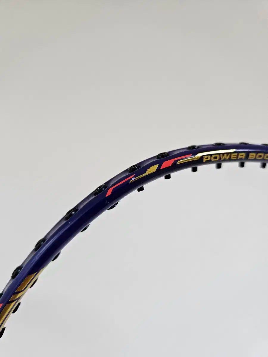 プロ バドミントン