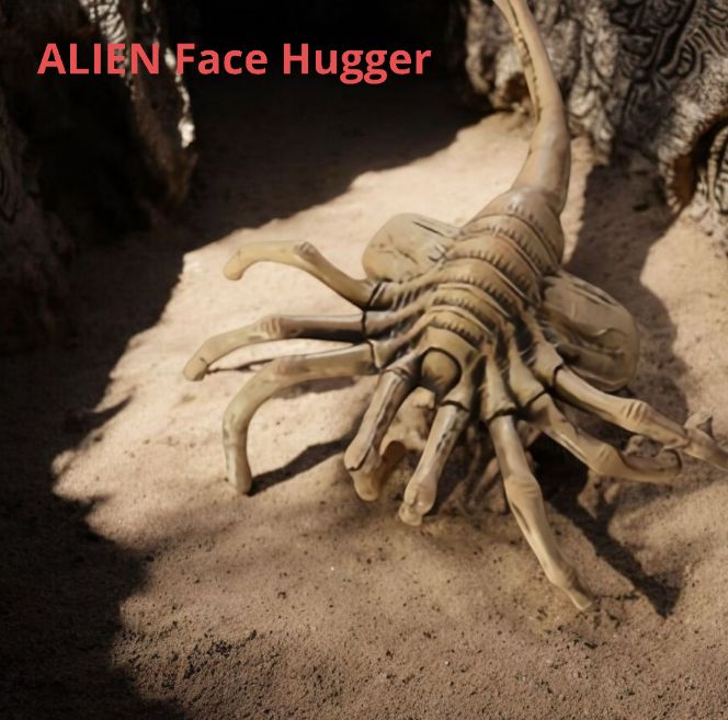 ☆未使用 エイリアン フェイスハガー 1/1 リアルサイズ 約110cm ALIEN