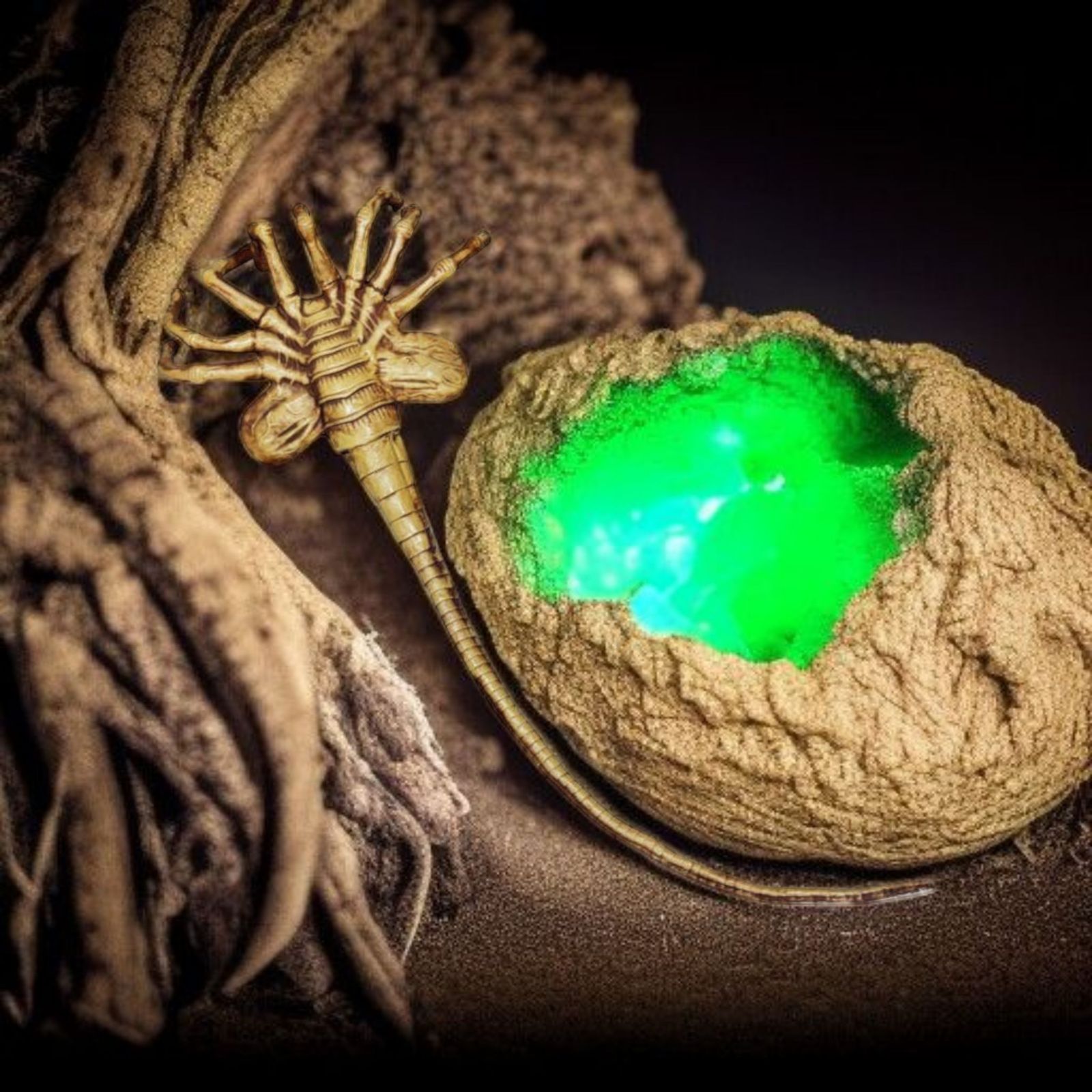 ☆未使用 エイリアン フェイスハガー 1/1 リアルサイズ 約110cm ALIEN