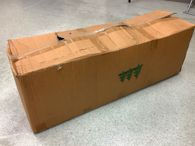 KS アウトレット 210cm くすみグリーン クリスマスツリー 本物松ぼっくり 木製オーナメント付き ヌードツリー リビング用