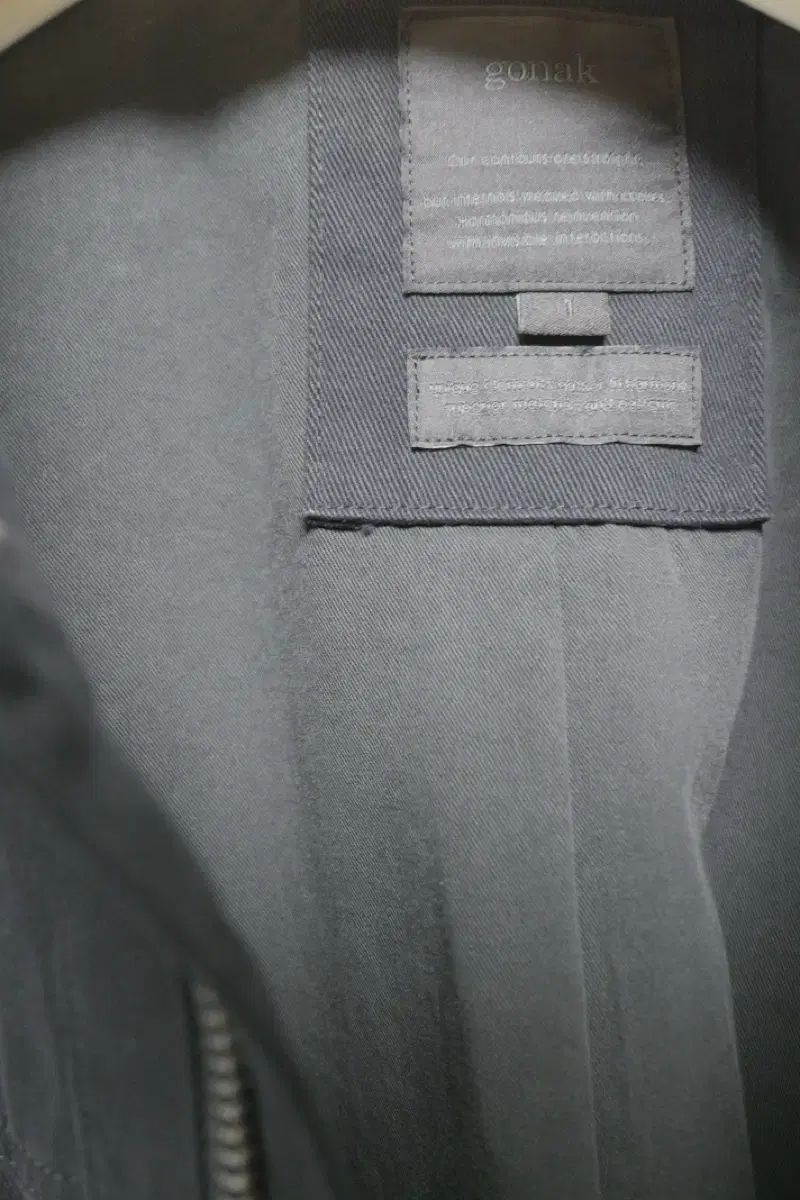 ゴーウォッシュド