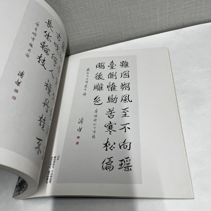 中国美術名作選 114家114作品 1991年 図録 齋白石,范曽,傅抱石,董寿平