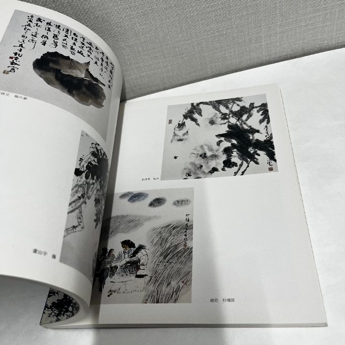 中国美術名作選 114家114作品 1991年 図録 齋白石,范曽,傅抱石,董寿平