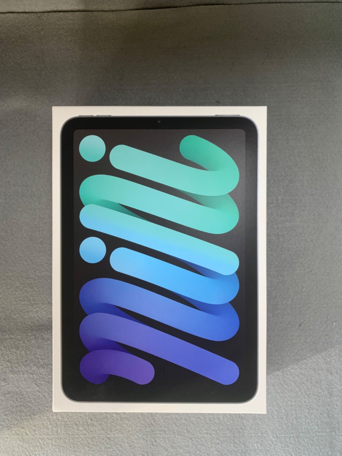 版 WiFi版 iPad mini A17 Pro 128GB スペースグレー色