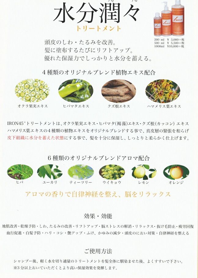 プライムリンク IRON 45° アイロン トリートメント 1000 ml