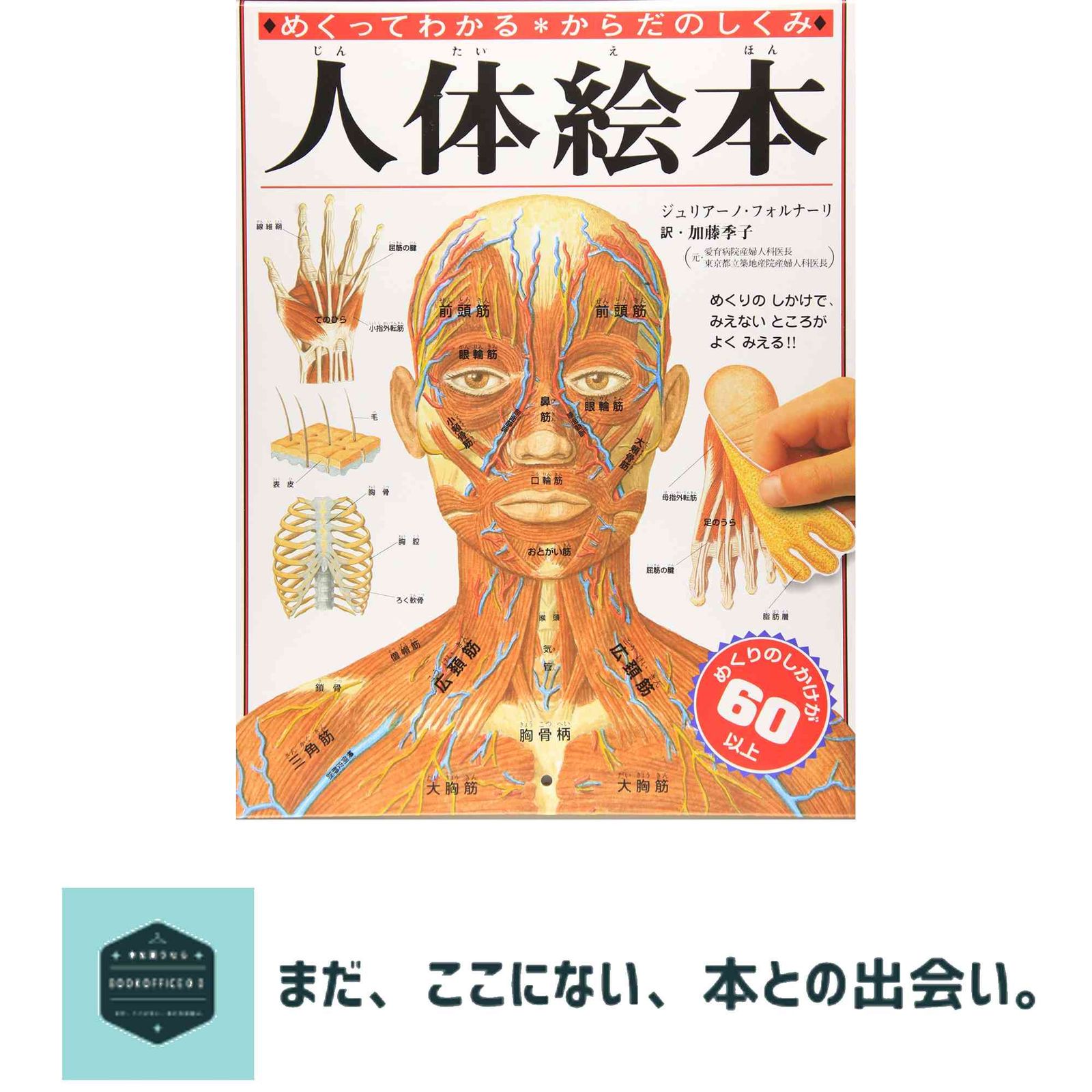 人体絵本: めくってわかる・からだのしくみ ジュリアーノ フォルナーリ