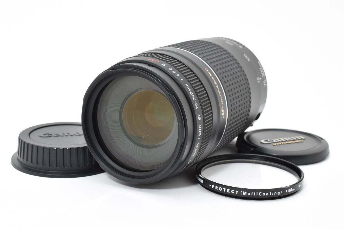 キャノン Canon EF 75-300mm F4-5.6 Ⅲ USM K440 3673