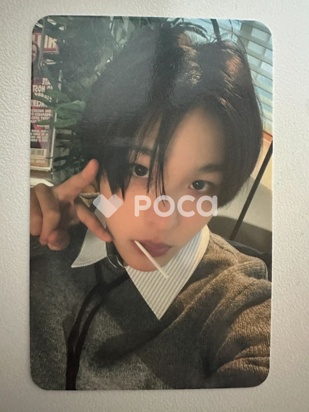 NCT WISH LOGIN キャラクターバッグ リク RIKU トレカ 付き NCT WISH