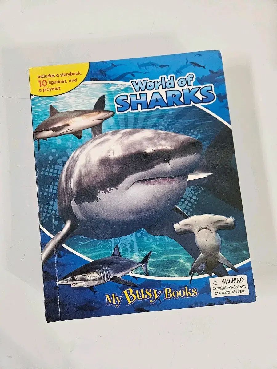 藤井 康夫 、隼飛翔、大判・豪華画版、版上落款入、新品額付