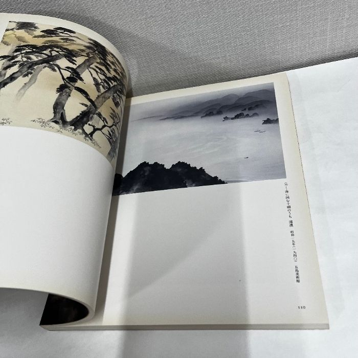 横山大観展 1993年 図録 - メルカリ