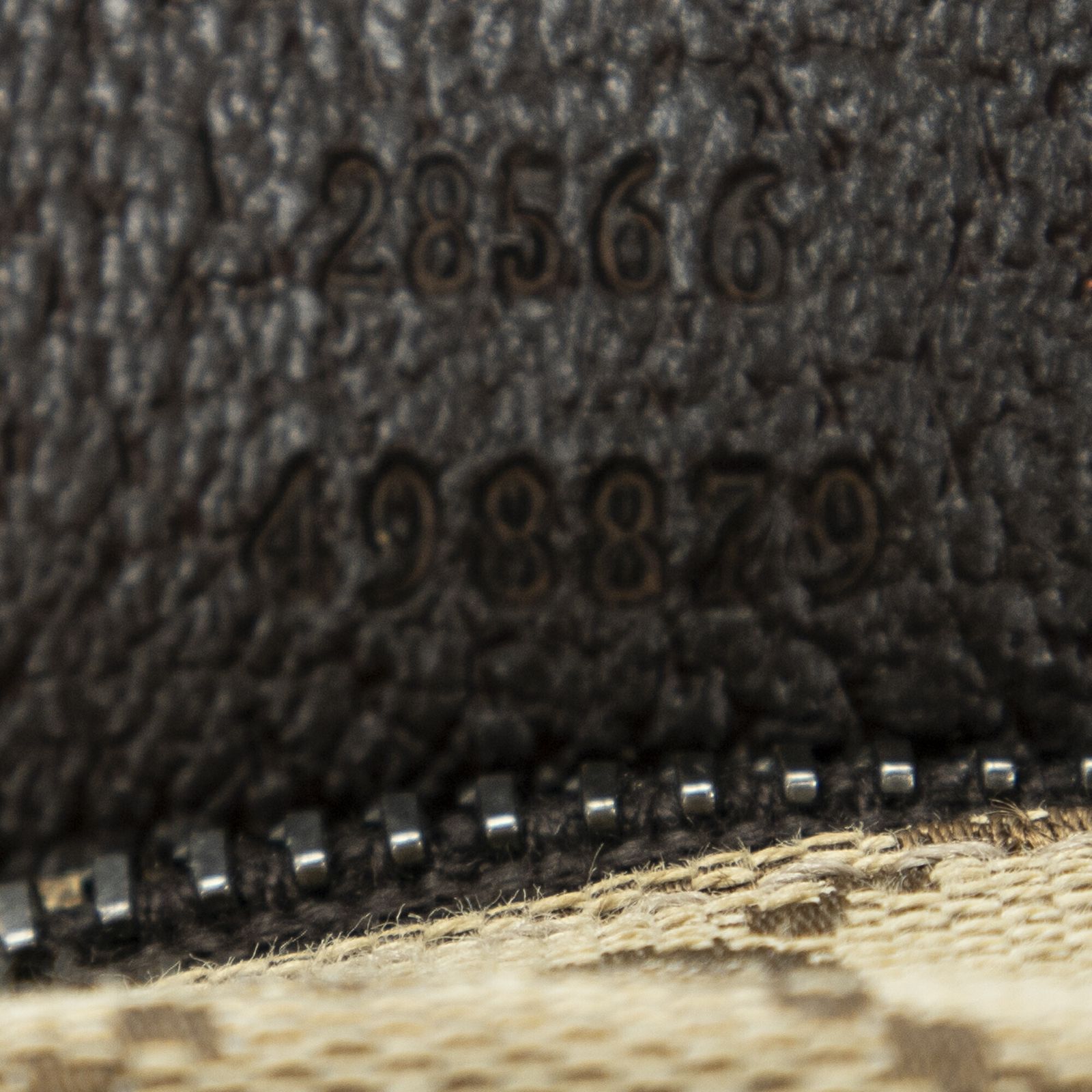 ブラウンGGキャンバスA