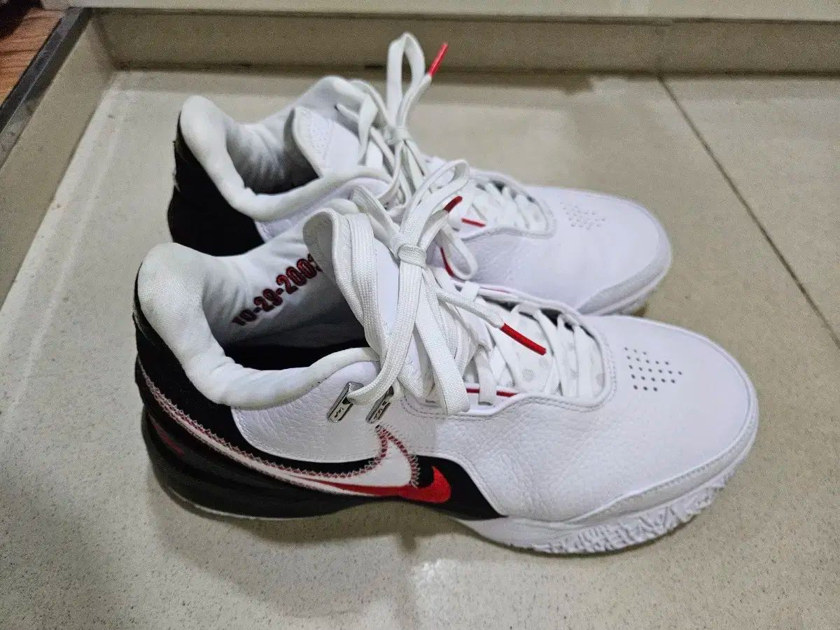 レブロン NXXT Gen AMPD EPホワイト バスケットシューズ ナイキ NIKE