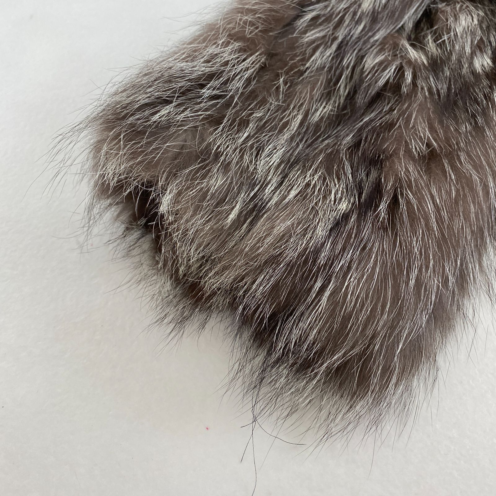 SAGA FOX サガフォックス サガシルバー 毛皮 コート 美品 毛皮コート SAGA FOX サガフォックス シルバーフォックス - メルカリ