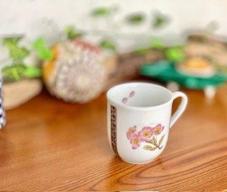 メーカー直送 九谷焼 マグカップ マグ 磁器 ソメイヨシノ 小紋付 中裏絵 WWW_OPDRERGINERDOGAN_COM