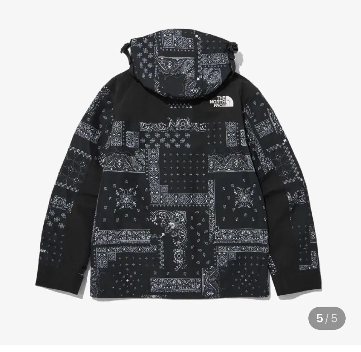 ノースフェイス エコー ゴアテックス マウンテン ジャケット