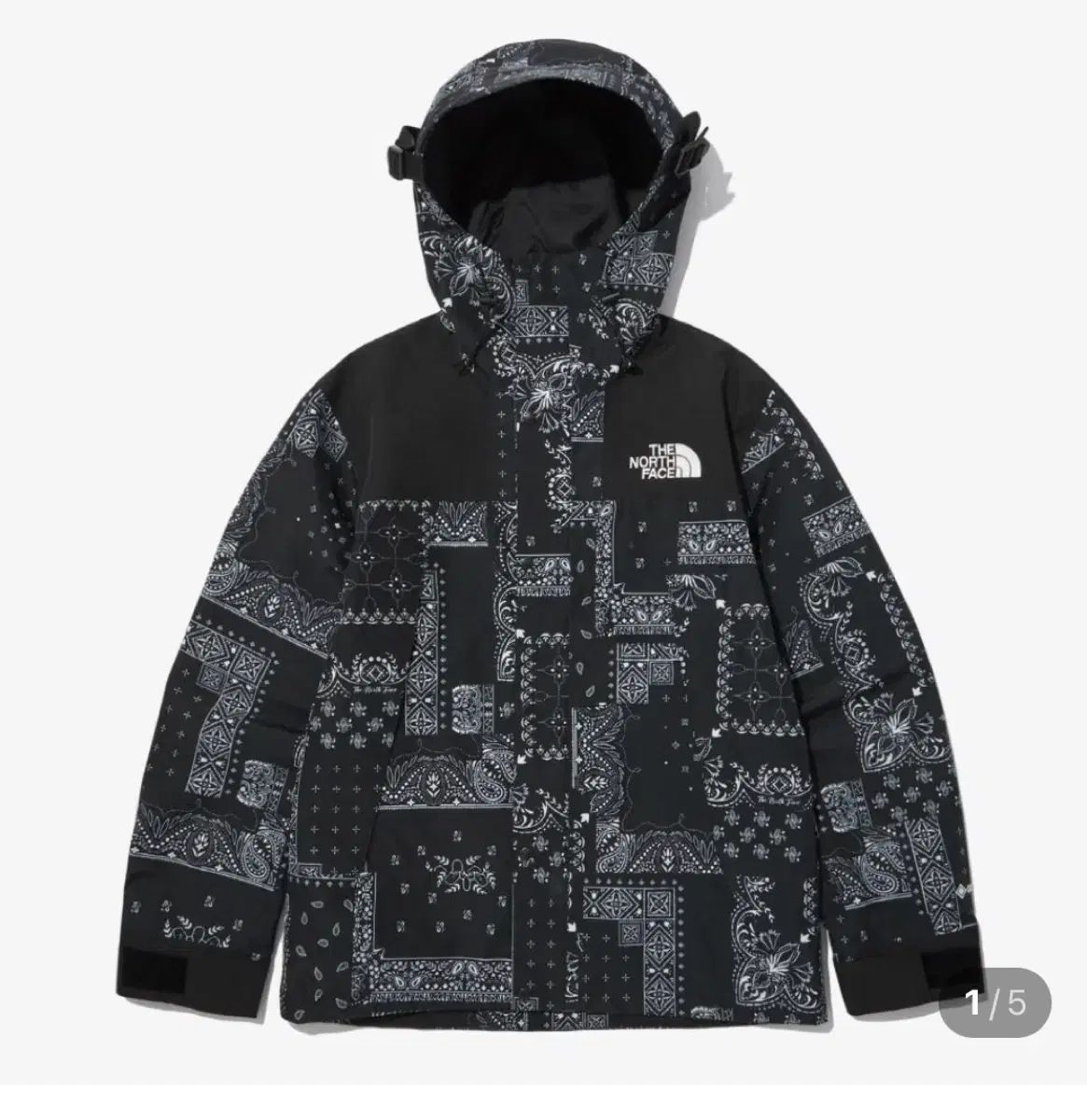 ノースフェイス エコー ゴアテックス マウンテン ジャケット