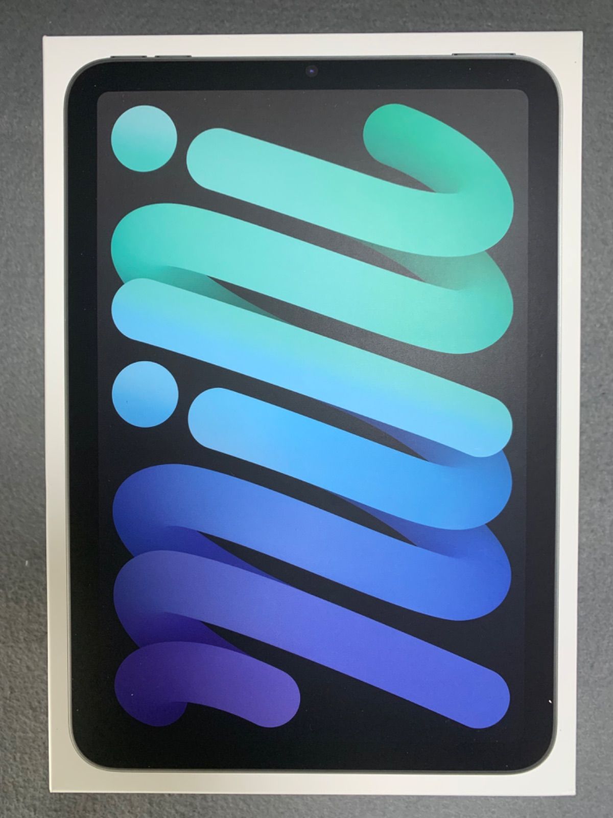 版 WiFi版 iPad mini A 17 Pro 256 GB