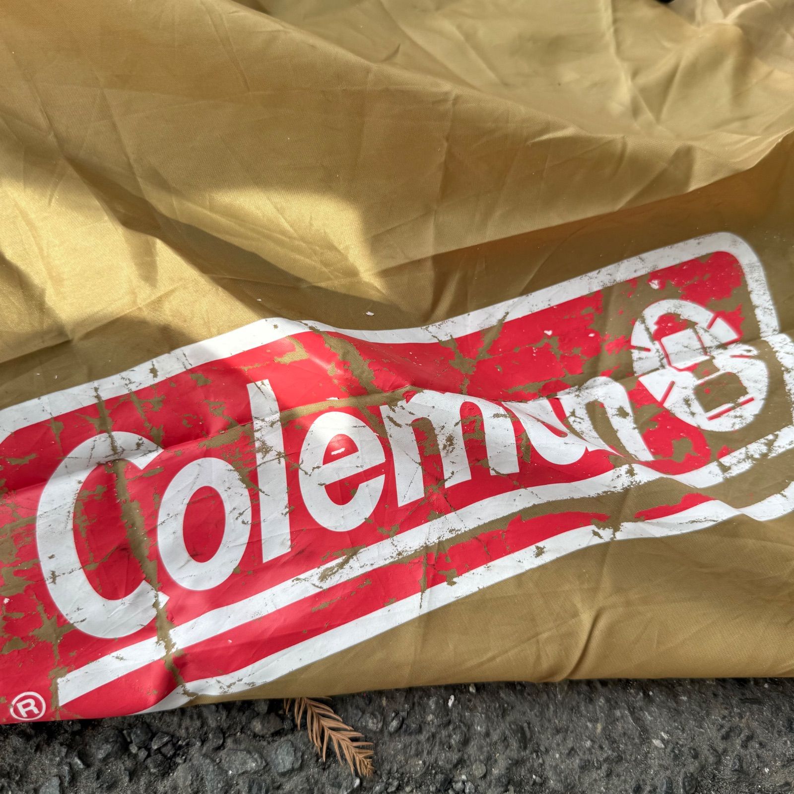 BCクロスドーム270