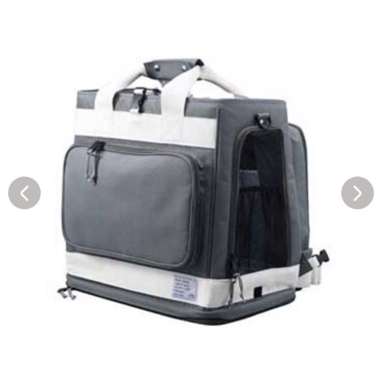 リオニマル リュック型ペットキャリーGRAMP A